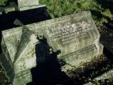 image of grave number 393574
